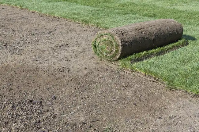 How long after installing sod can you walk on it in Bend, OR