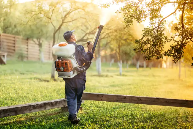 How often should you fertilize your lawn in Bend, OR