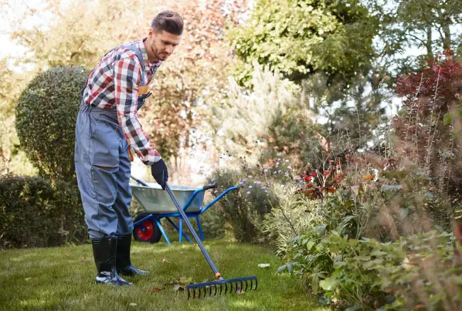 How to clear a yard full of weeds Bend, OR