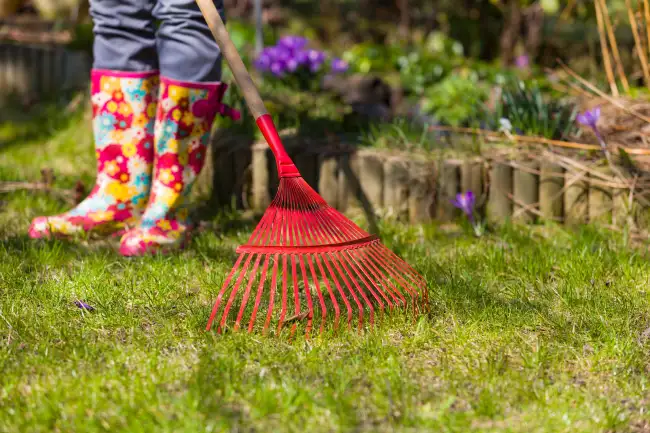 How to clear a yard full of weeds Bend, OR