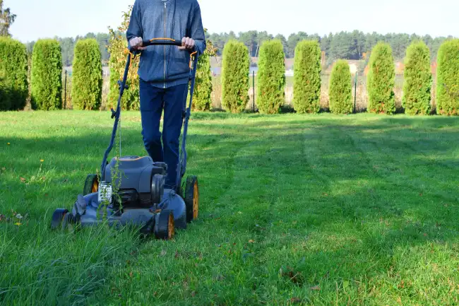 How to mow a lawn in Bend, OR