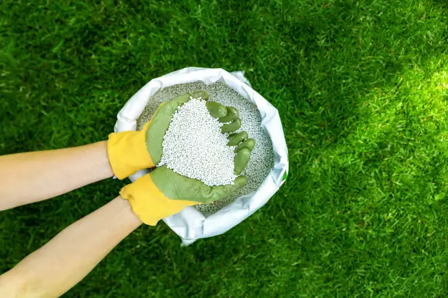 Professional lawn fertilization in Bend, OR