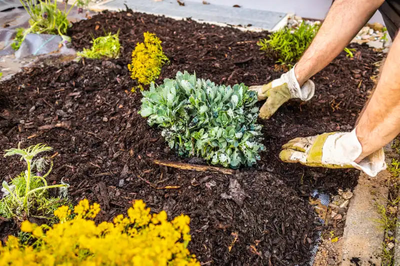 Reliable mulching in Bend, OR