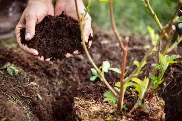 Affordable mulching in Bend, OR