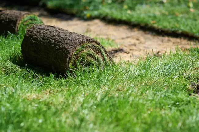 Reliable sod installation in Bend, OR