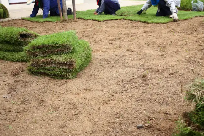 Affordable sod installation in Bend, OR