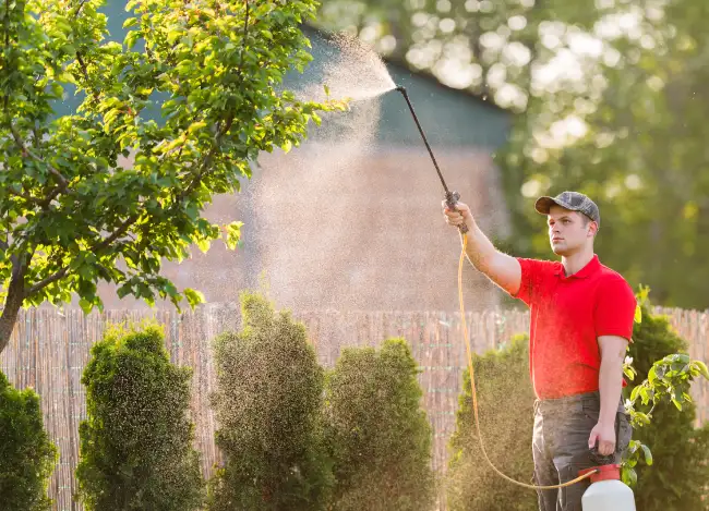 When is the best time to fertilize your lawn in Bend, OR