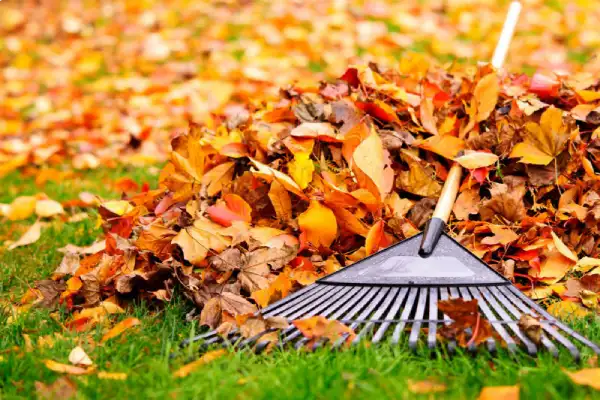 Professional yard cleanup in Bend, OR