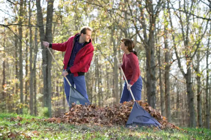 Reliable yard cleanup in Bend, OR