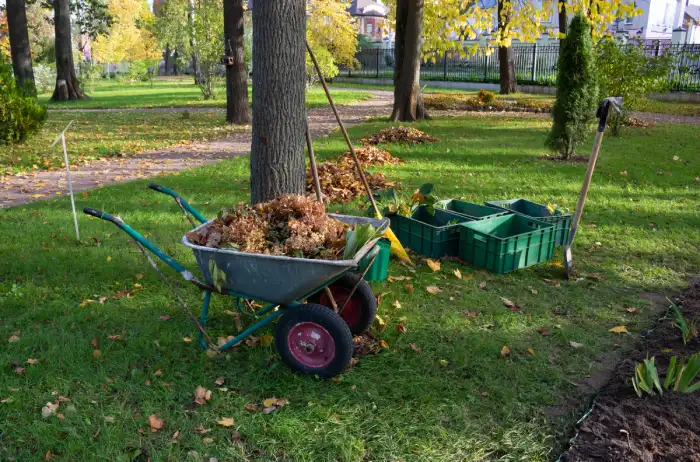 Affordable yard cleanup in Bend, OR